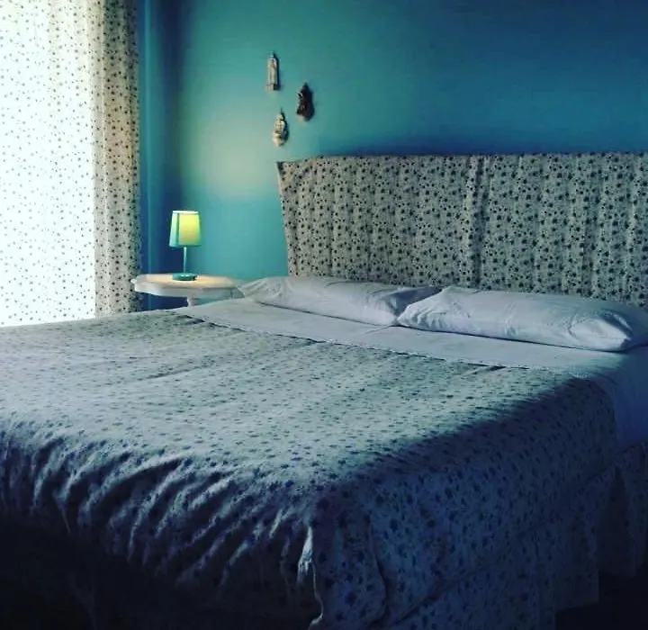 B&B Xenia-1